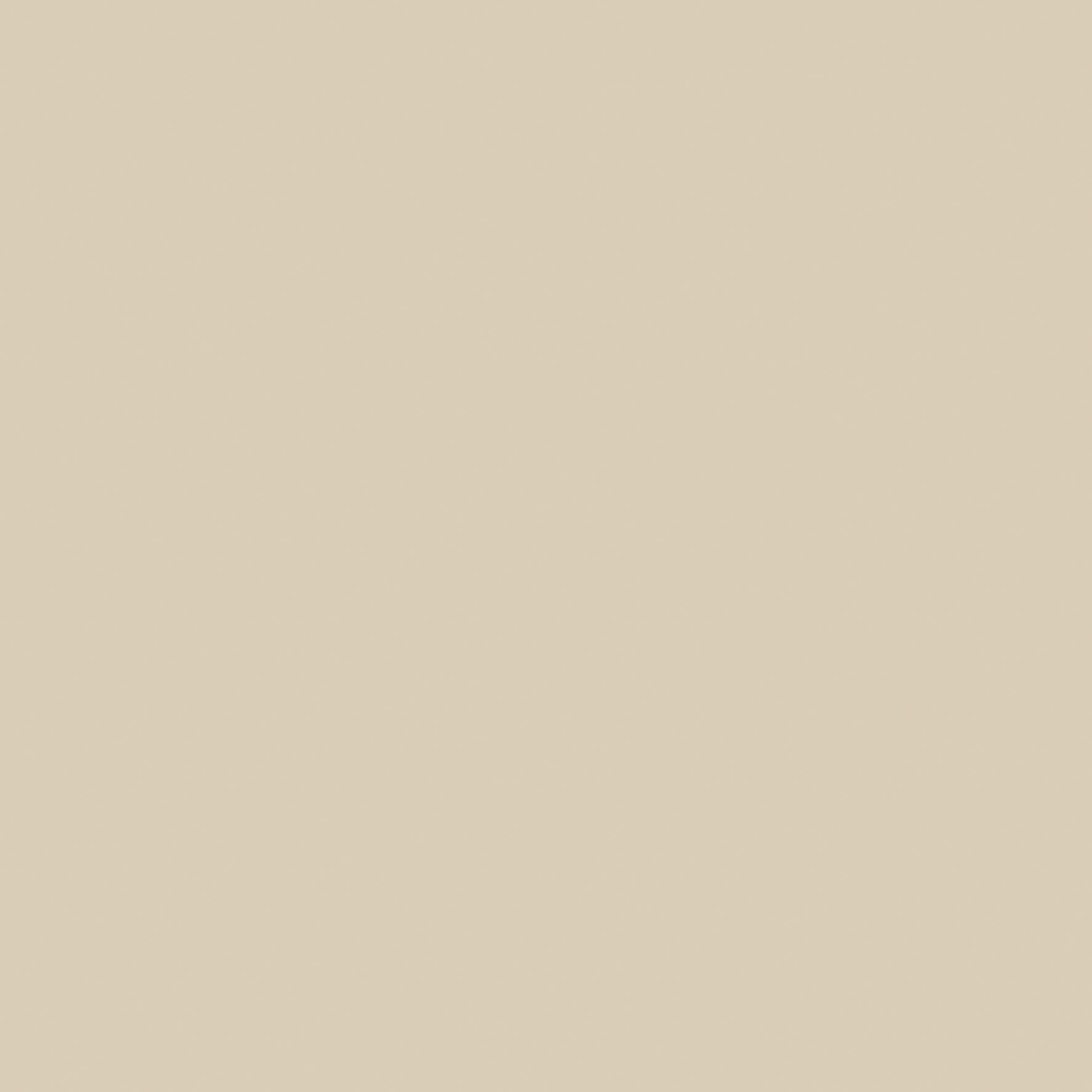 Zenzero swatch