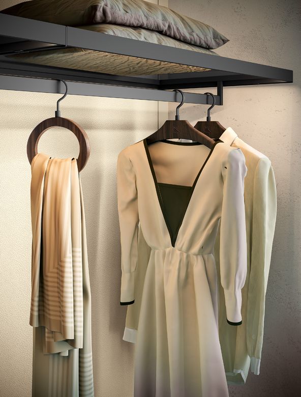 Custom wardrobe — Scarf ring and hanger on the rail