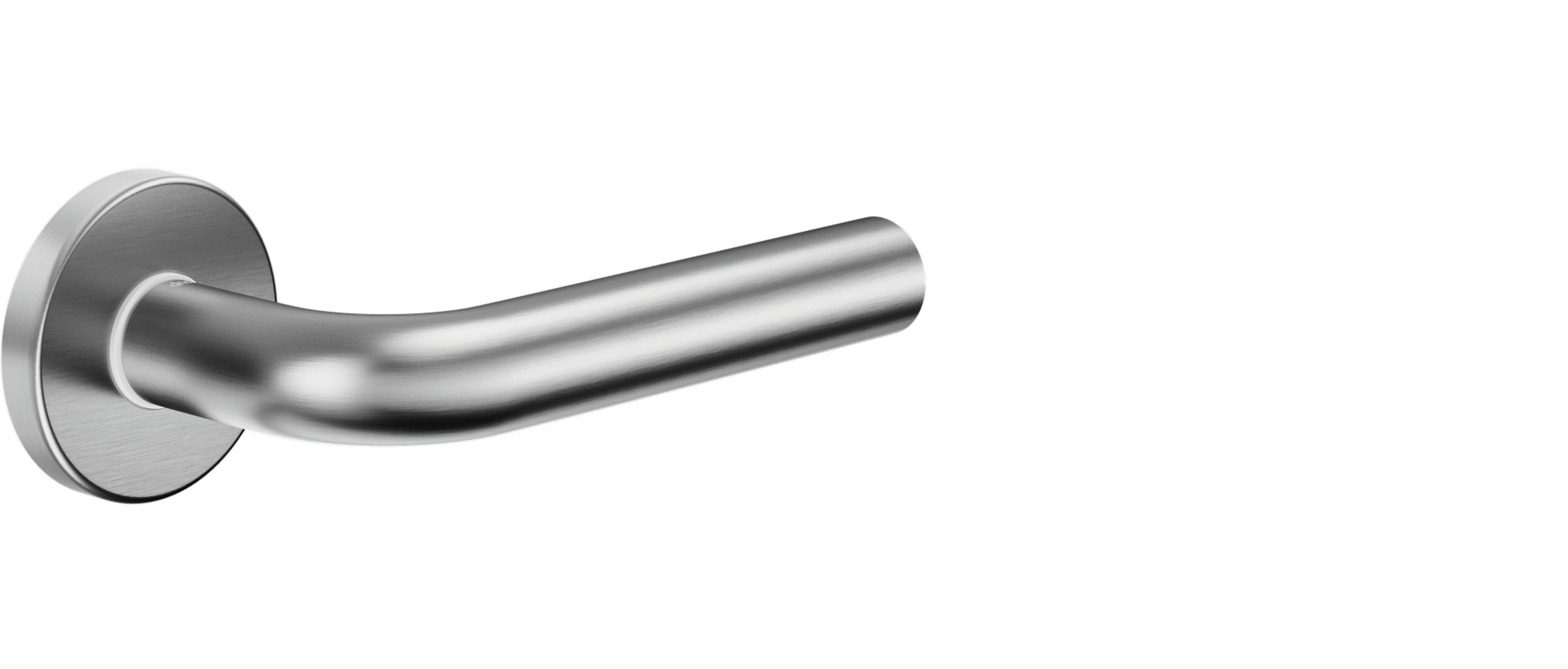 DND handle on rose, pgs