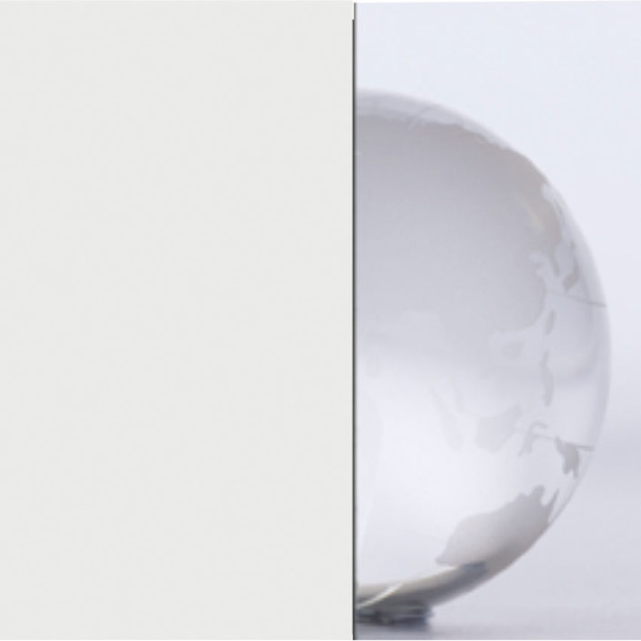 Matt Mirror glass