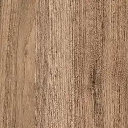Elm