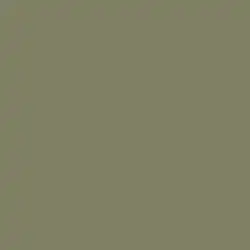 RAL 6013