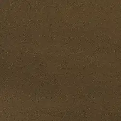 Antique Bronze