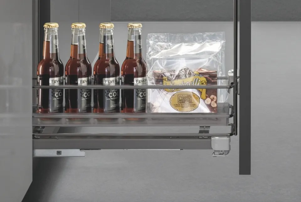 Wire pull-out with trays — catalog photo