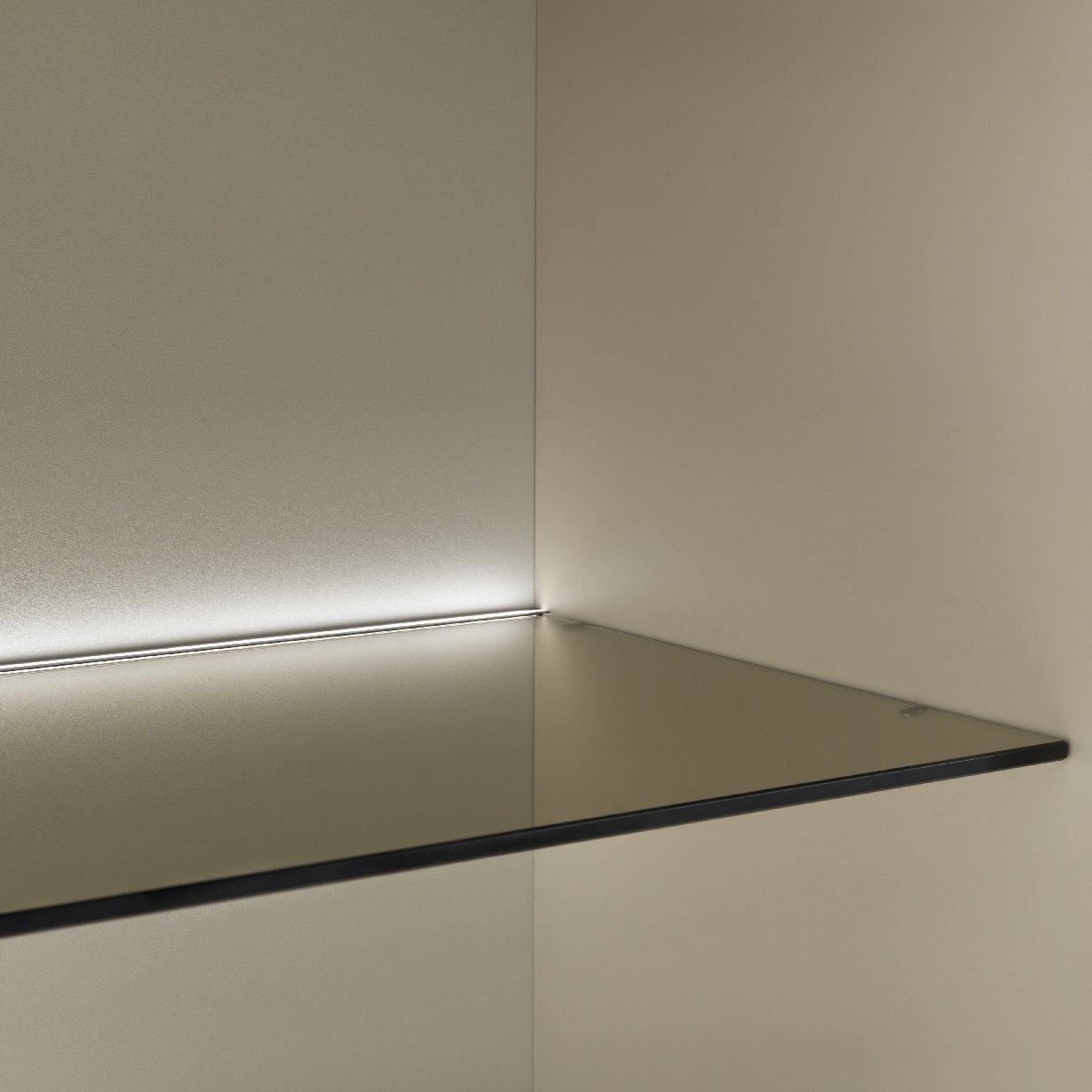 Glass — catalog photo