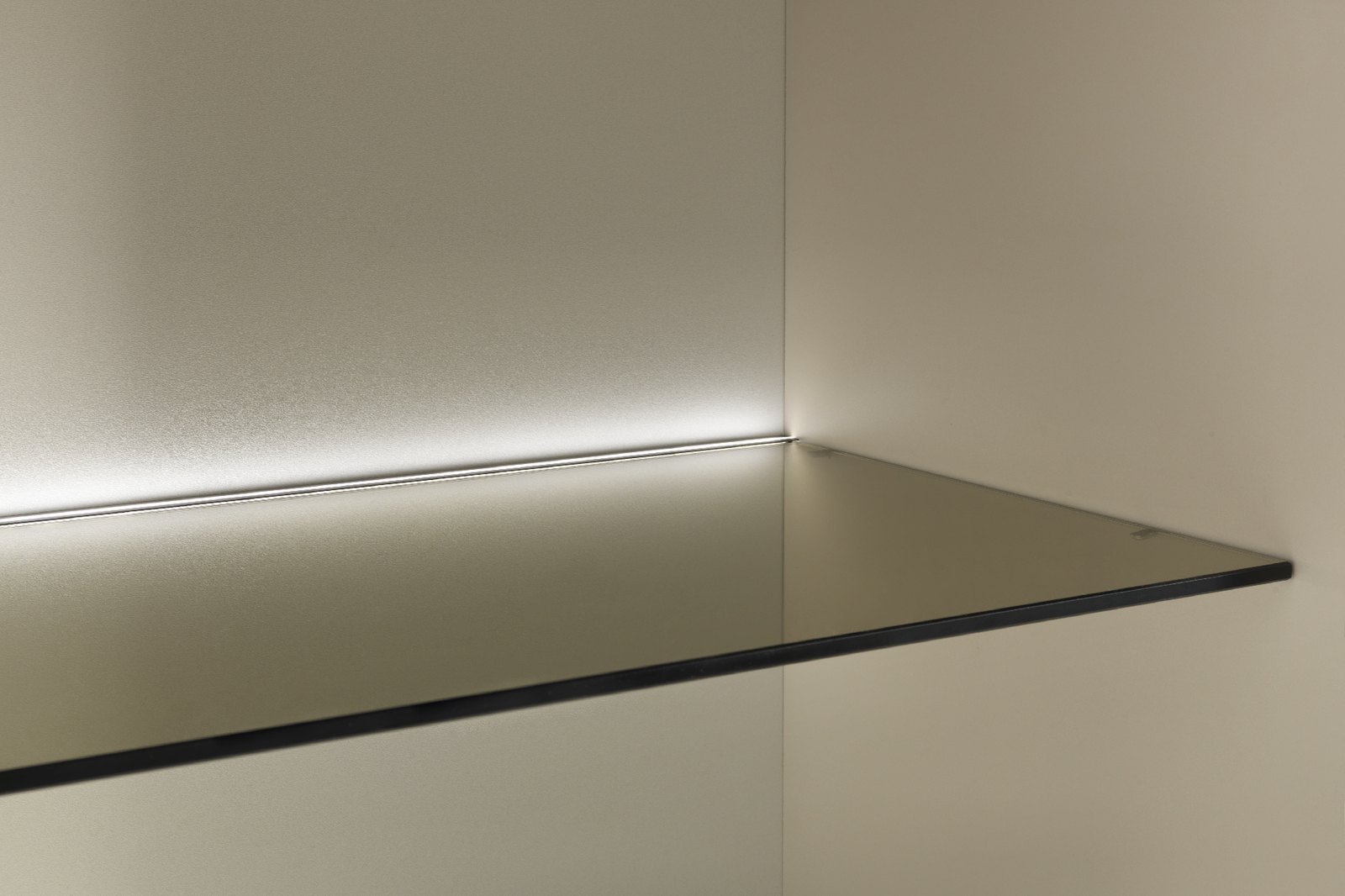 Glass — catalog photo