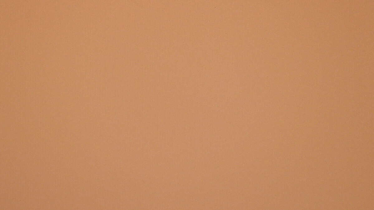 F19/F39 Giallo Evora Fenix swatch