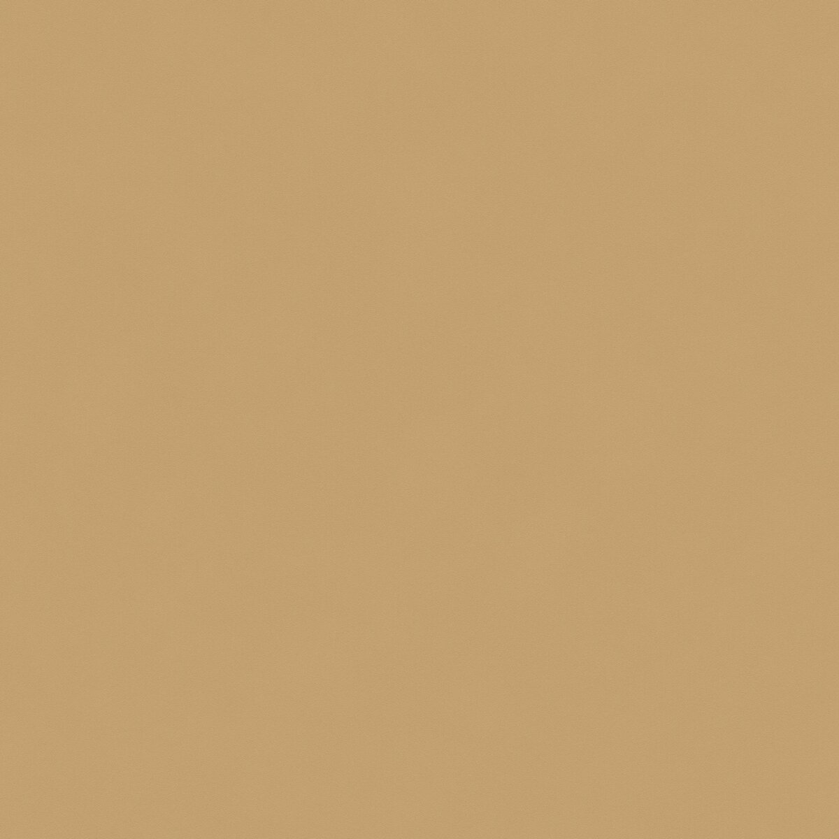 28M Champagne Altair metallic matt lacquer
