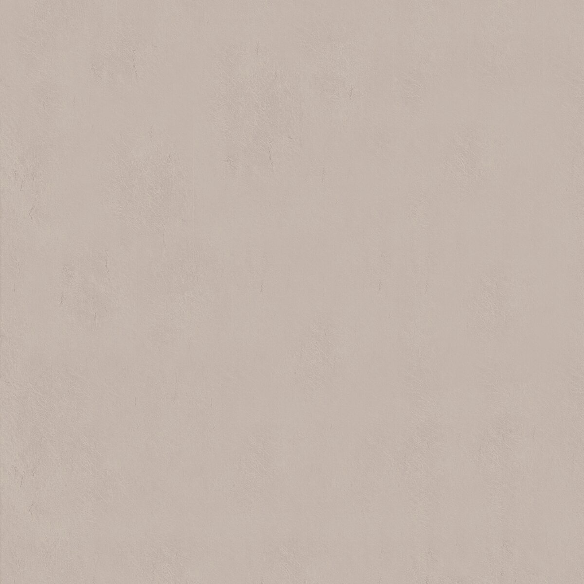 A50 Cemento Algor texture decor swatch