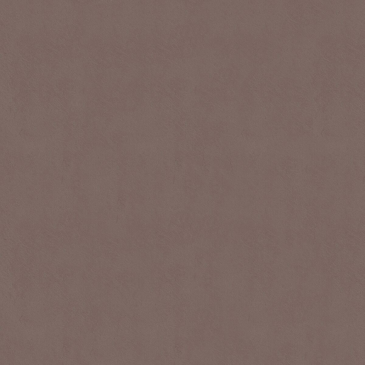 A51 Cemento Castor texture decor swatch