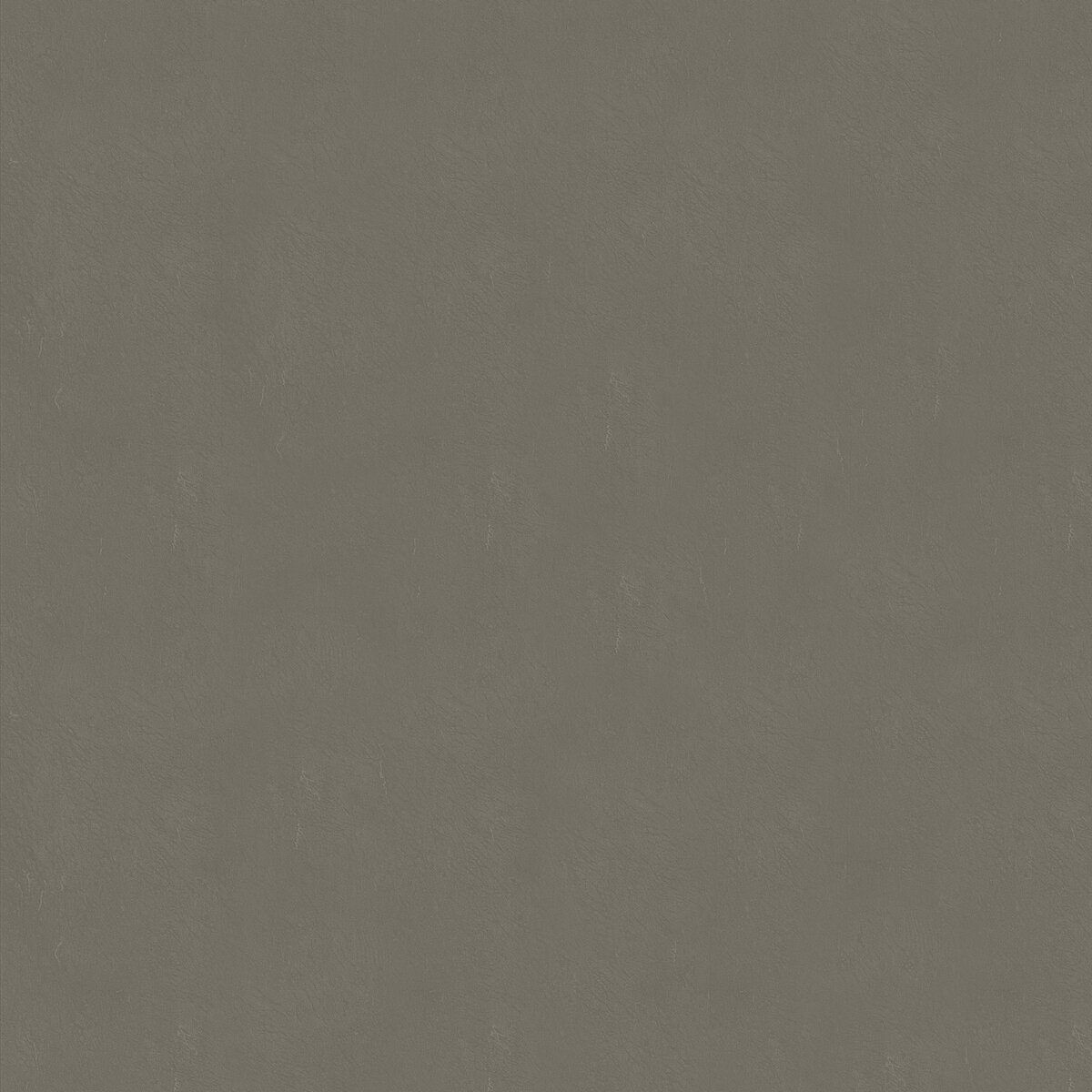 A52 Cemento Rigel texture decor swatch