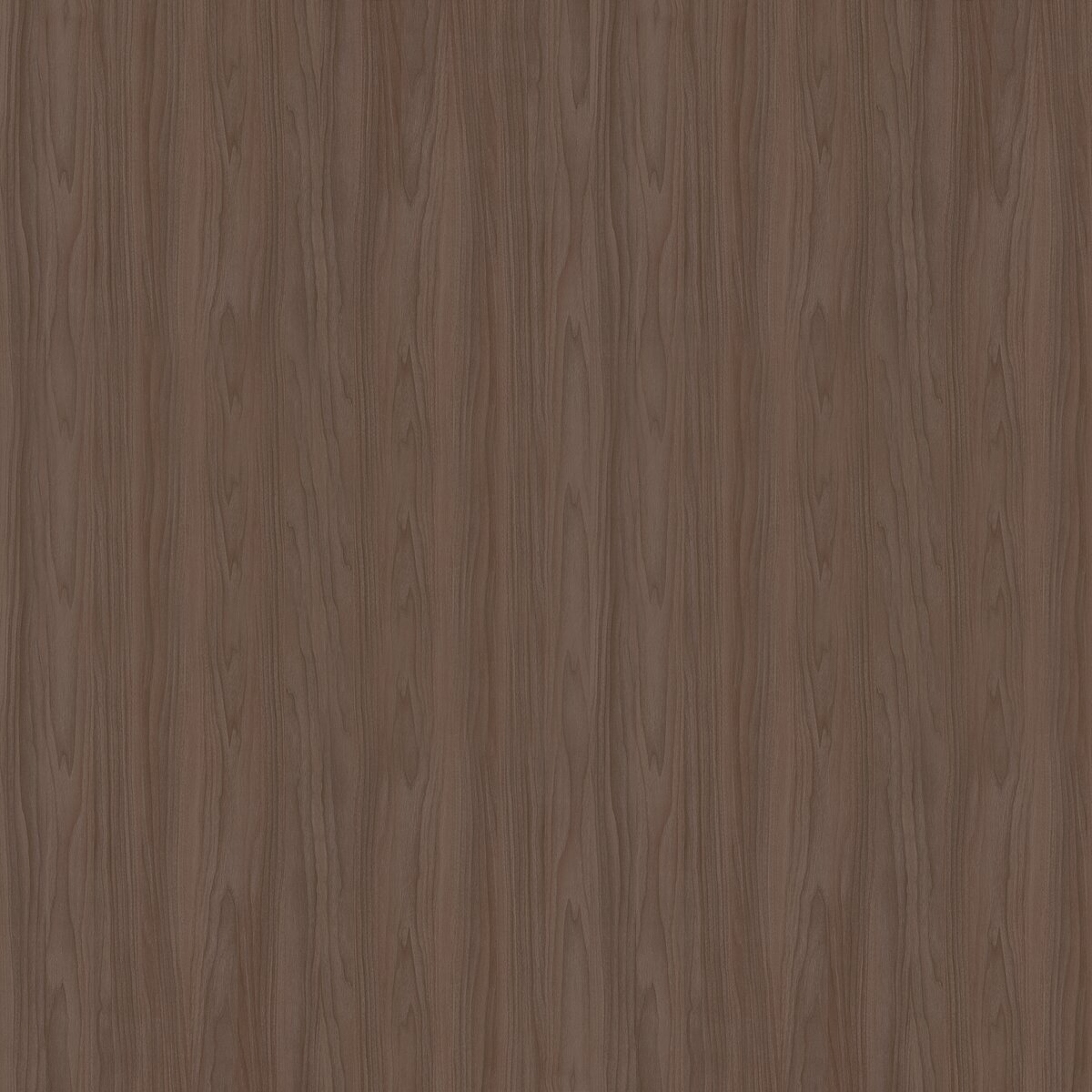 X57 Noce Grigio texture decor swatch