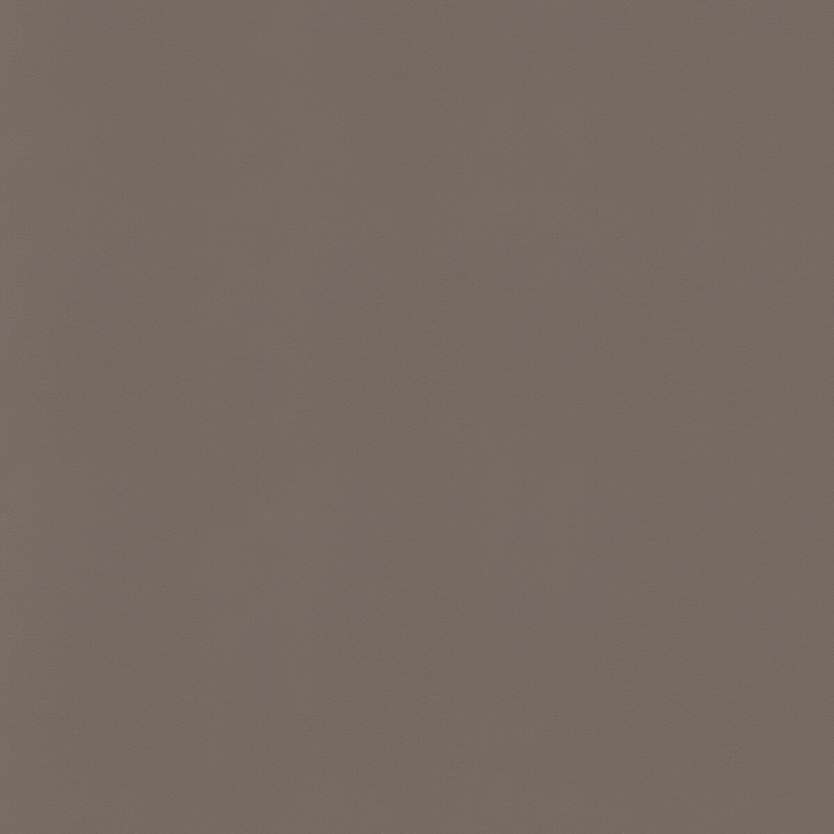 U12 Tortora unicolor laminate
