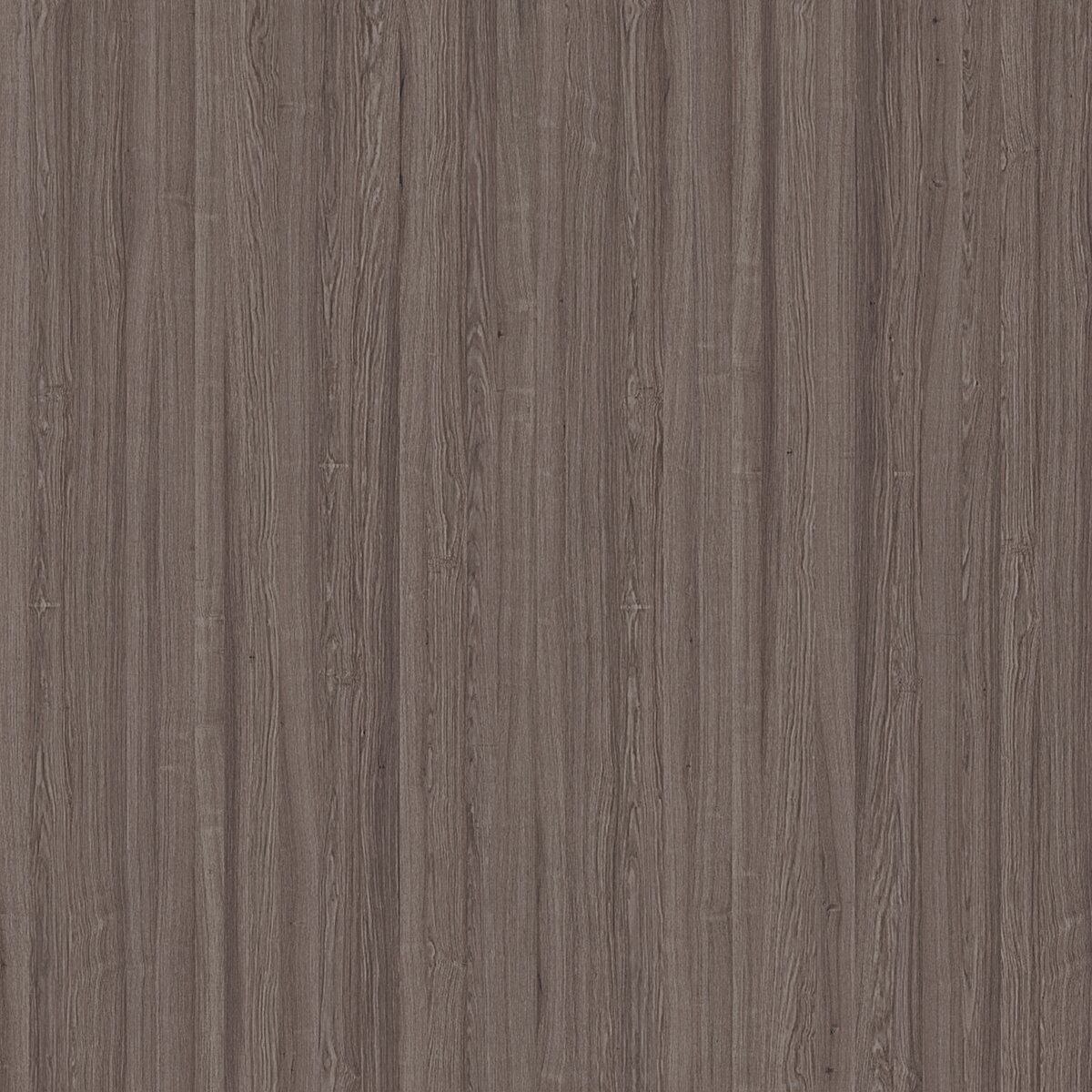 U31 Rovere Tabacco unicolor laminate