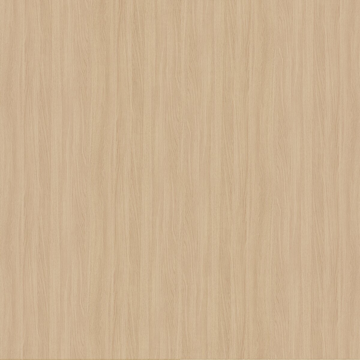 U36 Rovere Naturale unicolor laminate