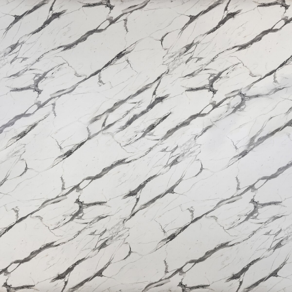 U69 Statuario unicolor laminate