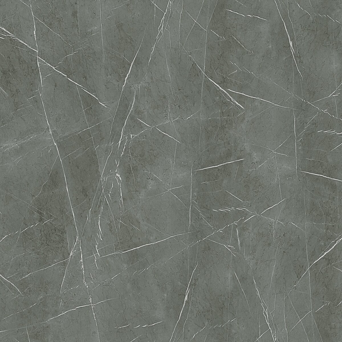 U78 Kaspio Argento unicolor laminate