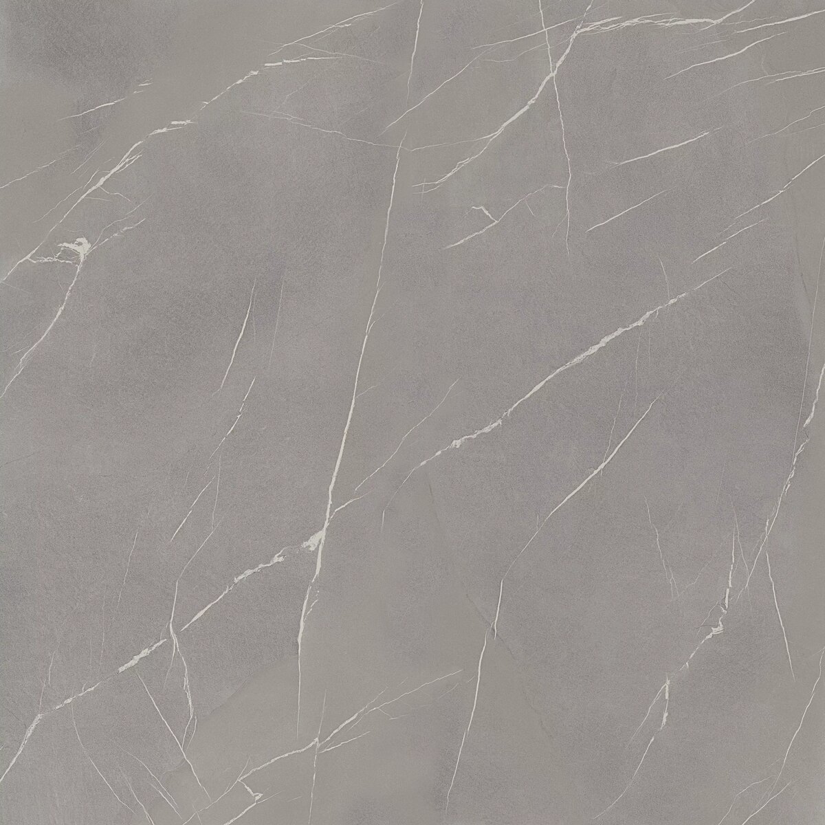LNS Pietra Piasentina Grigia Laminam