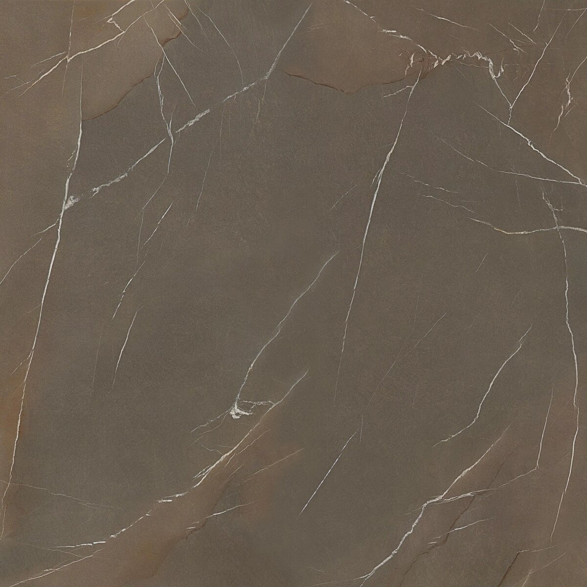 LNT Pietra Piasentina Taupe Laminam