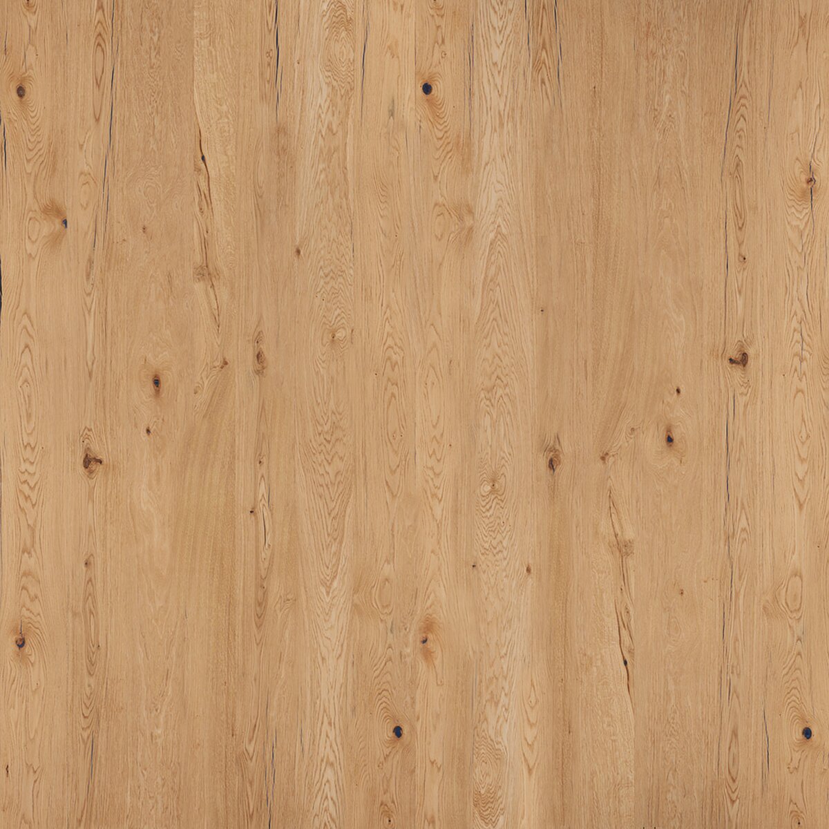 E90 Rovere Nodato veneer