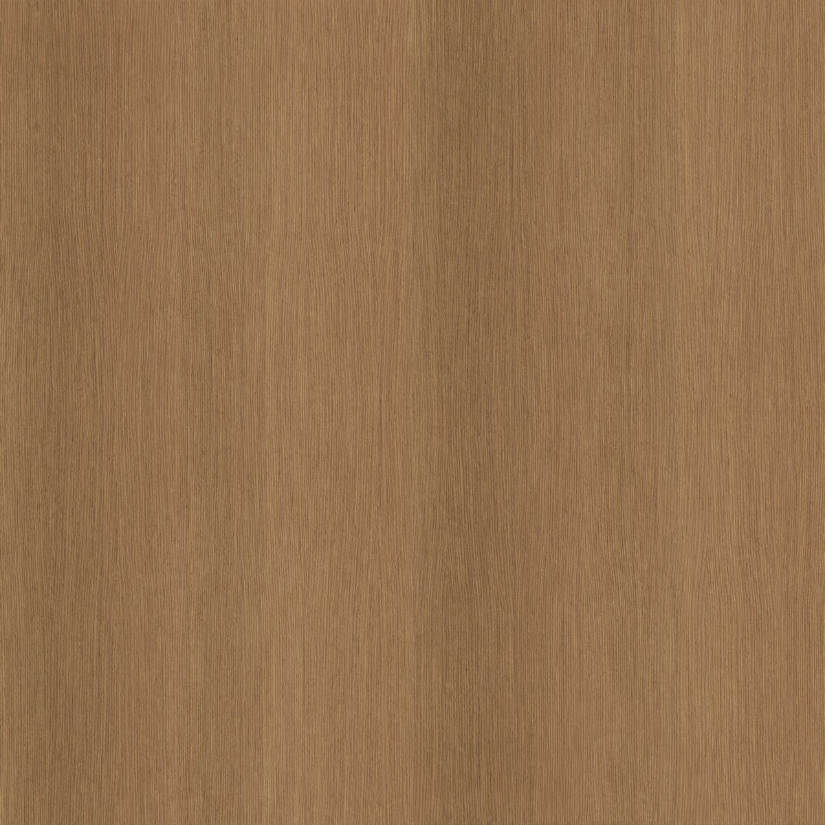 EX7 Rovere Cotone veneer