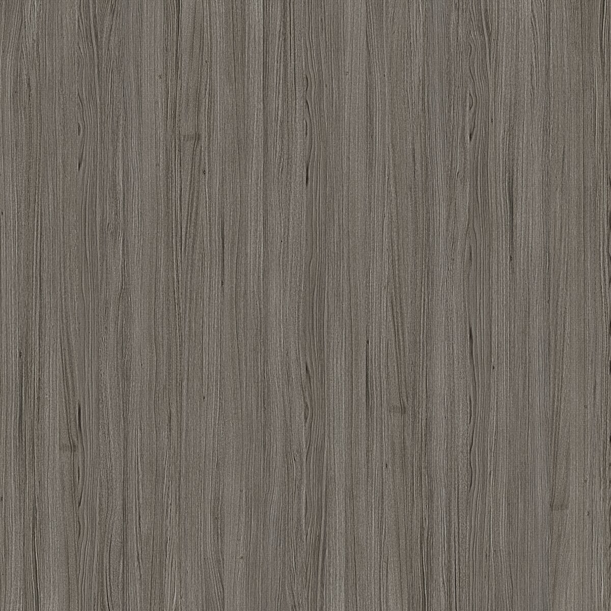 W50/W40 Rovere Grigio Cashmere veneer