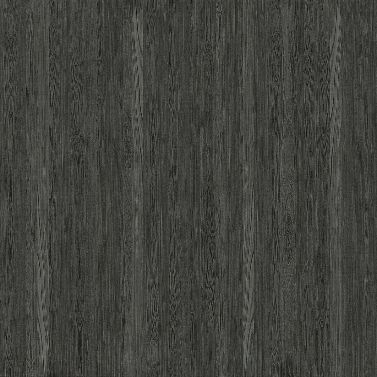 W51/W41 Rovere Carbone veneer