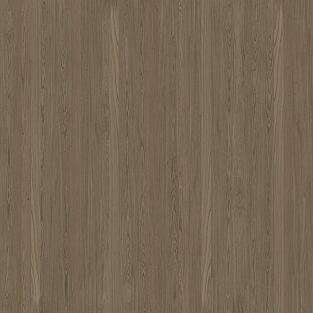 W52/W42 Rovere Siena veneer