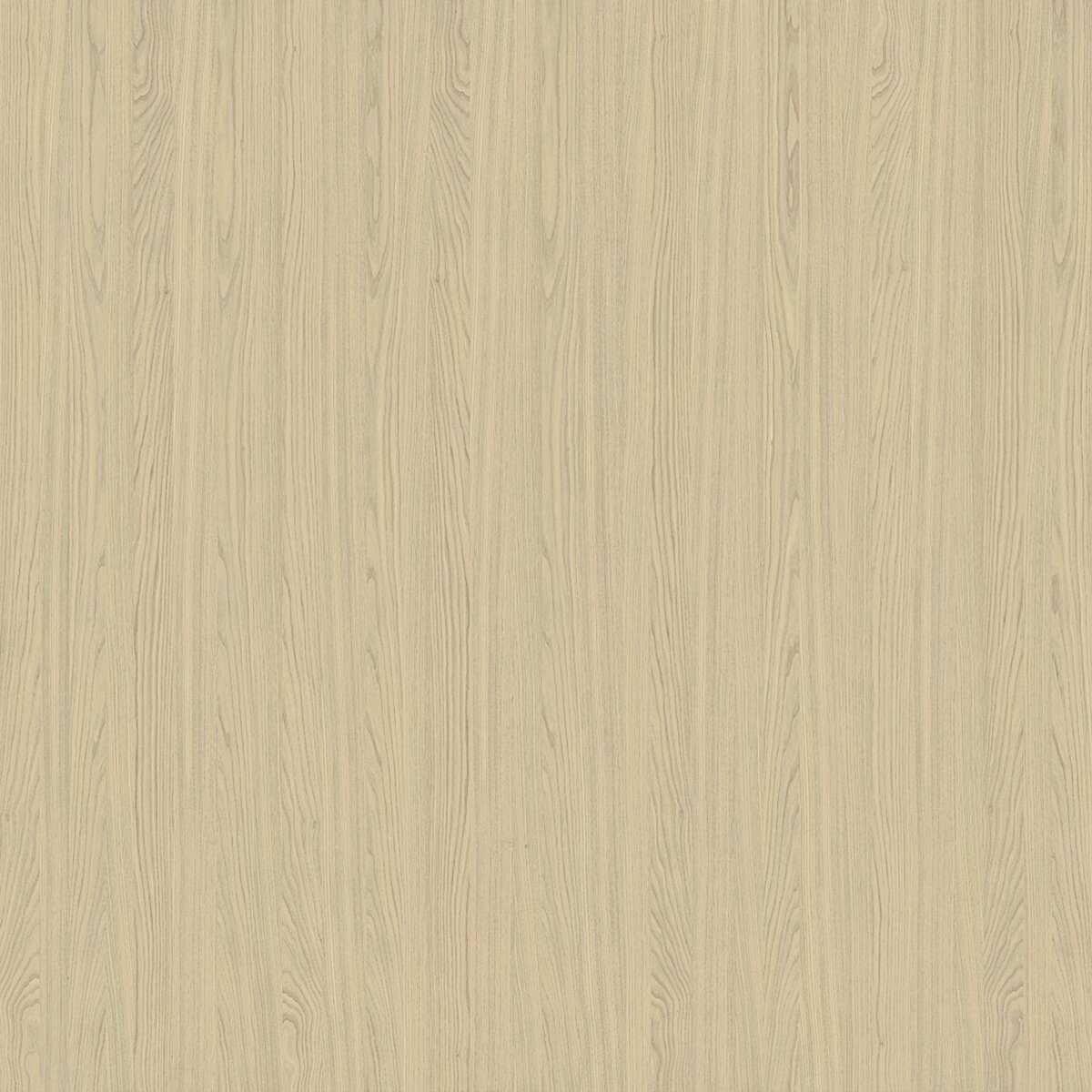 W55/W45 Rovere Tattile Sbiancato veneer