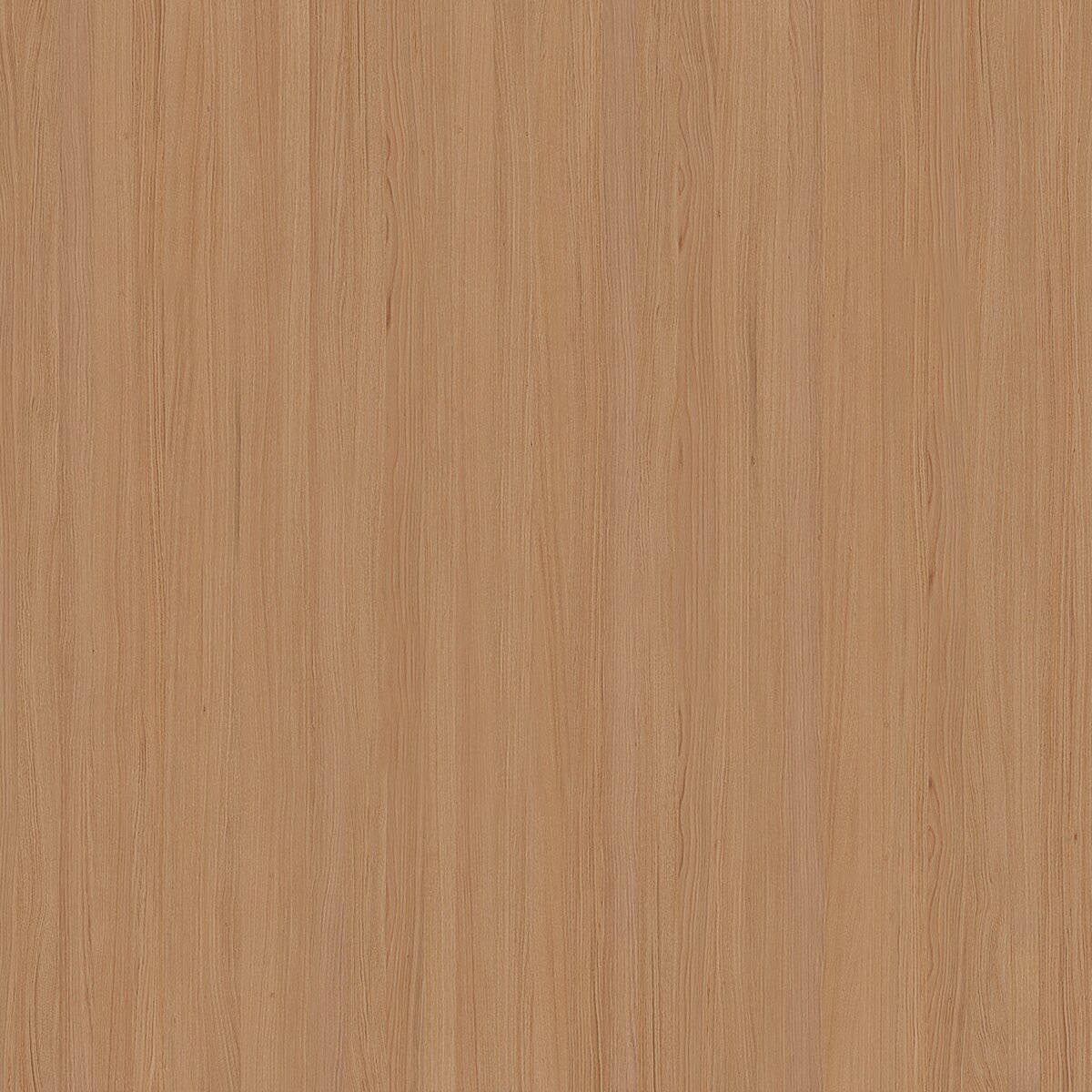 W56/W46 Rovere Tattile Naturale veneer