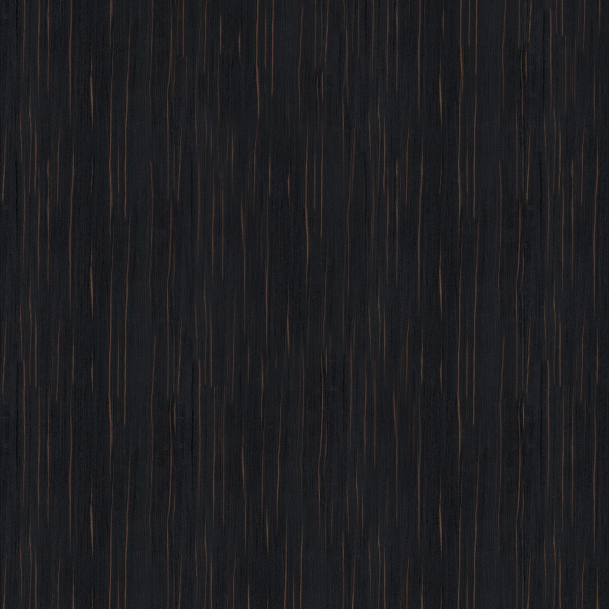 EA4/EC4 Ebano Soft veneer