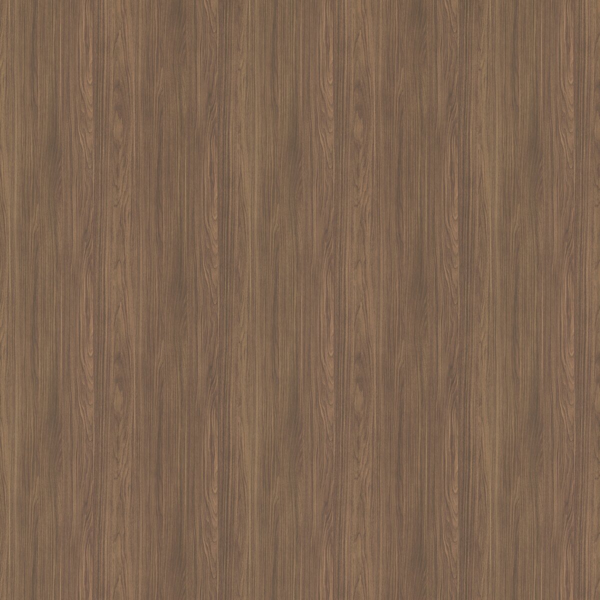 EF3/EG8 Olmo Noce veneer