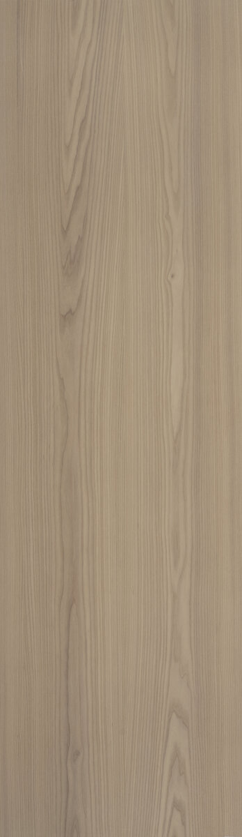 EF4/EG9 Olmo Crudo veneer