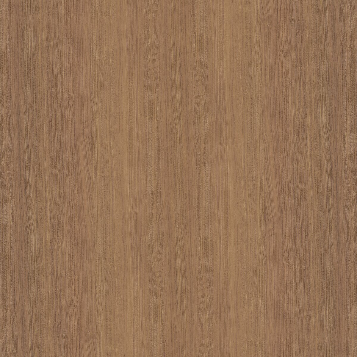 EK5/EL5 Noce Royal veneer