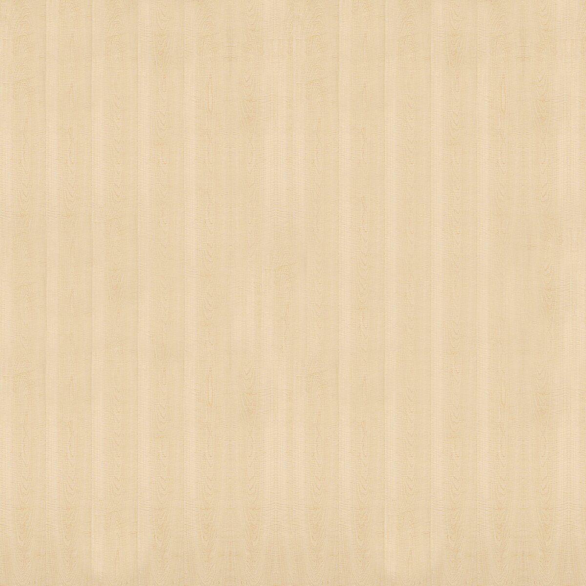 E76/E77 Sicomoro Ivory veneer