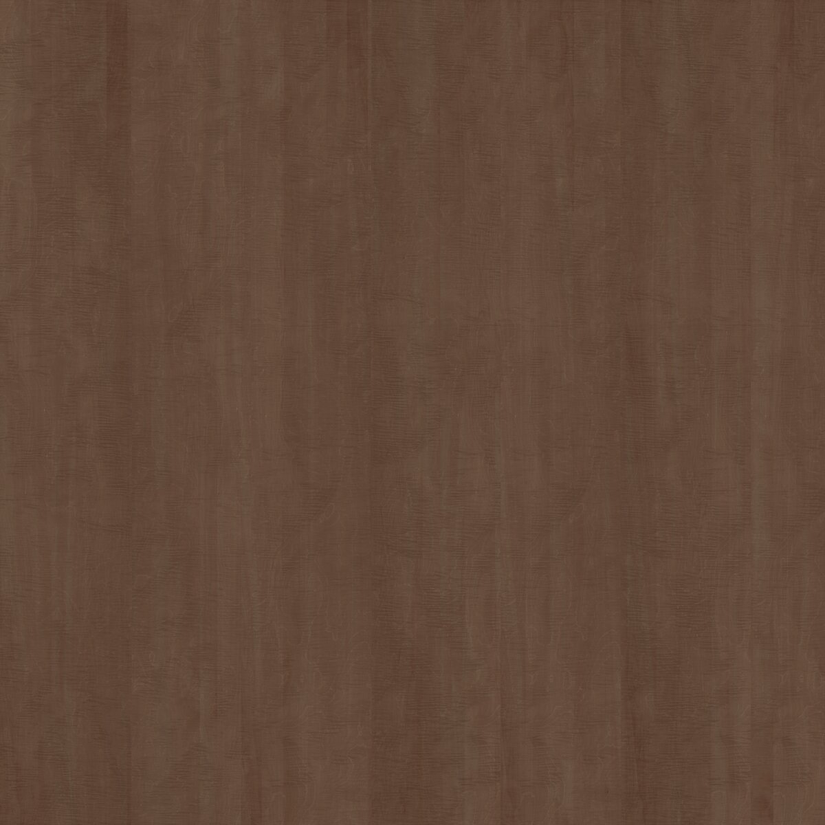 EA6/EC6 Sicomoro Torba veneer