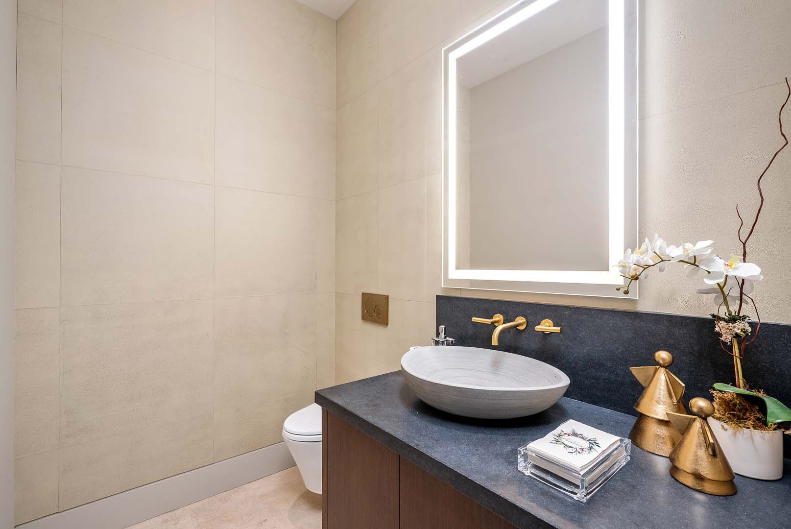 Powder room — black stone counter, vessel basin, and brass fittings