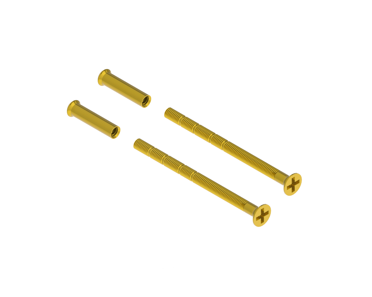 2 screws M4x45 mm